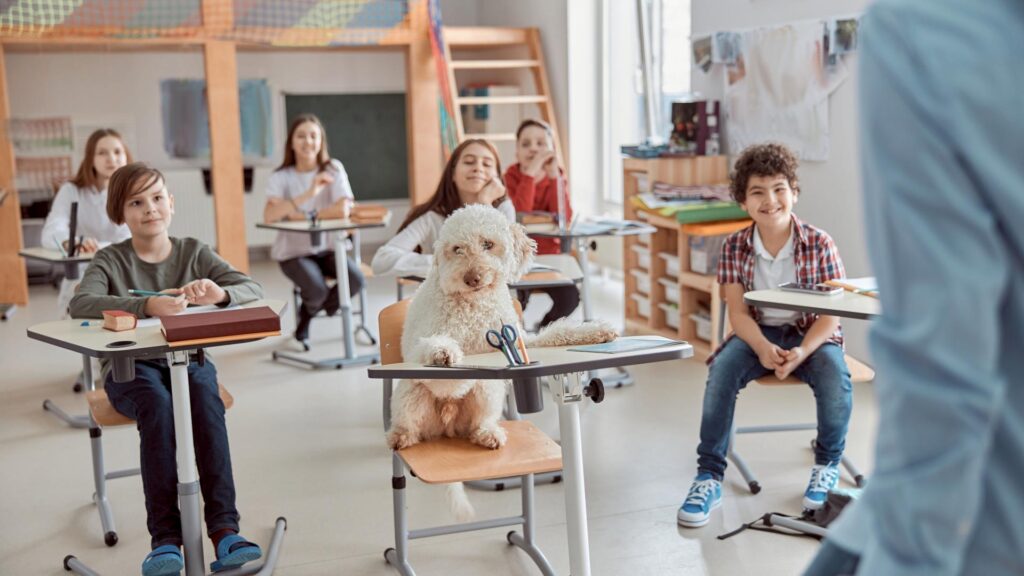Ein Schulhund sitzt zwischen Schülerinnen und Schülern im Klassenzimmer